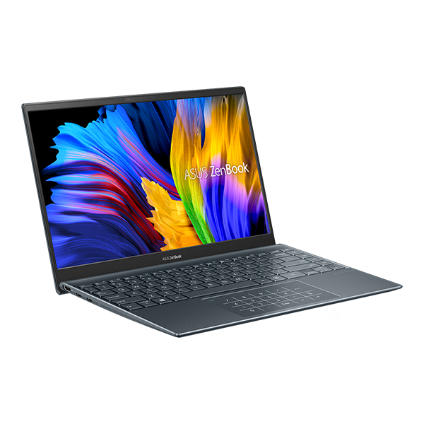 ASUS Laptop ZenBook UM425IA ? H