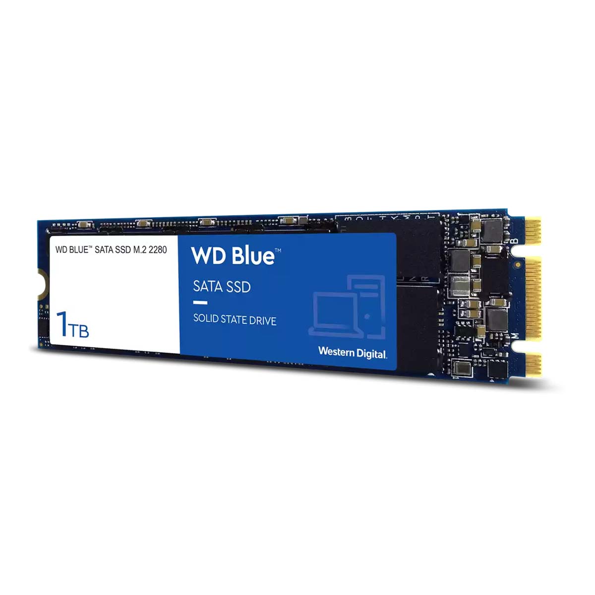 SSDWestern Digital Internal – WD Blue 3D NAND Dual Slot